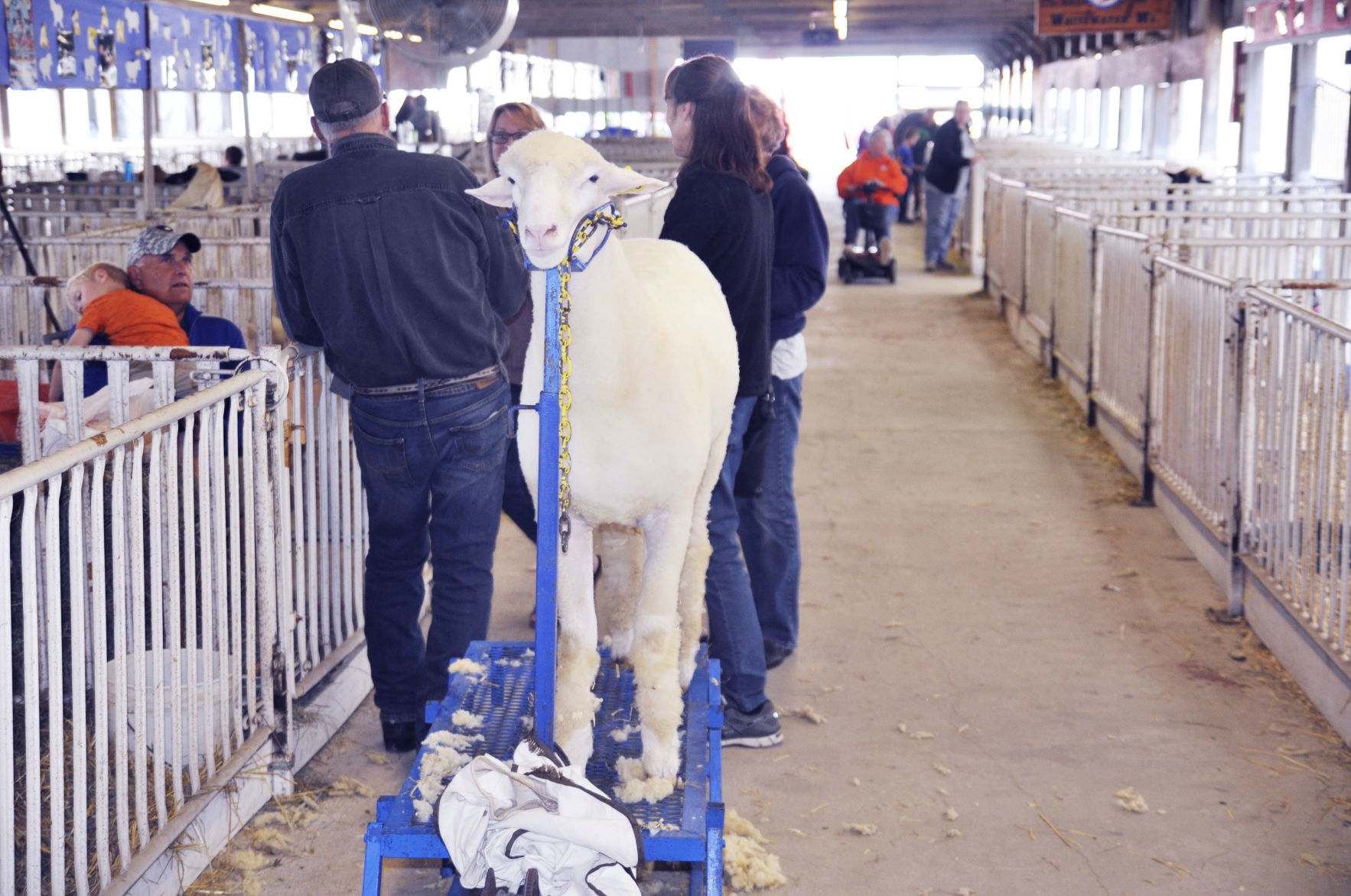 Walworth County Fair 13